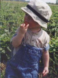 Joshua with strawberries